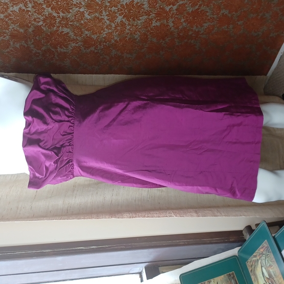 Strapless silk dress by Canadian designer‎ Pam Chorle on Queen st West Toronto L - Picture 1 of 6